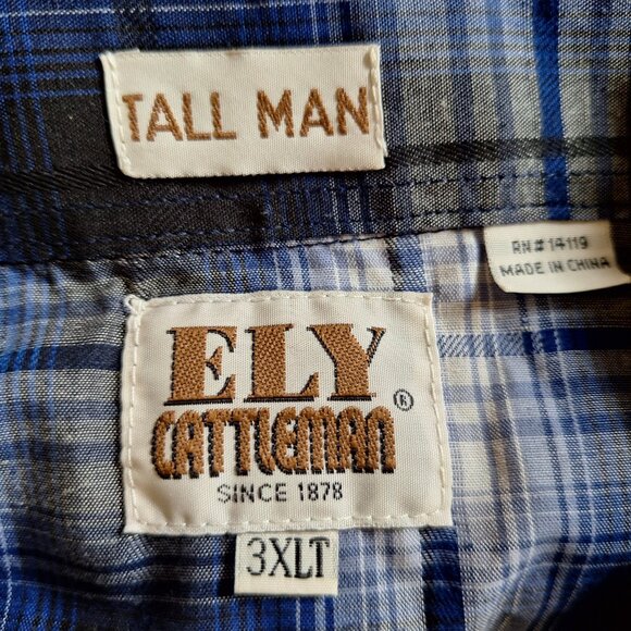 Men's Western Style Shirt - Picture 2 of 6